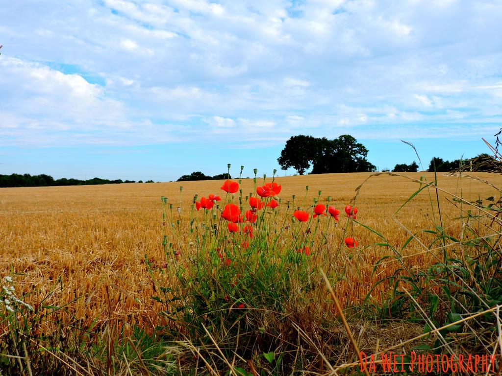 Gite Le Bourgneuf Fresnay-sur-Sarthe Exterior foto